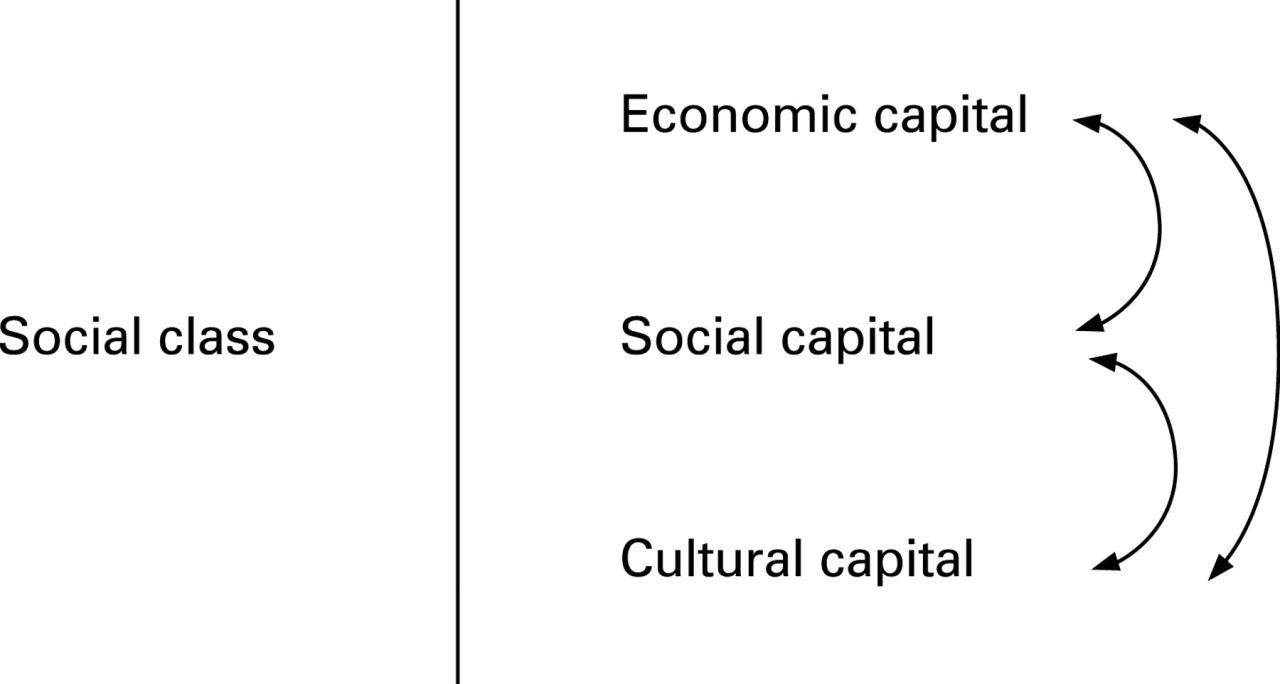 Social vs cultural capital mcat