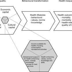 Social vs cultural capital mcat