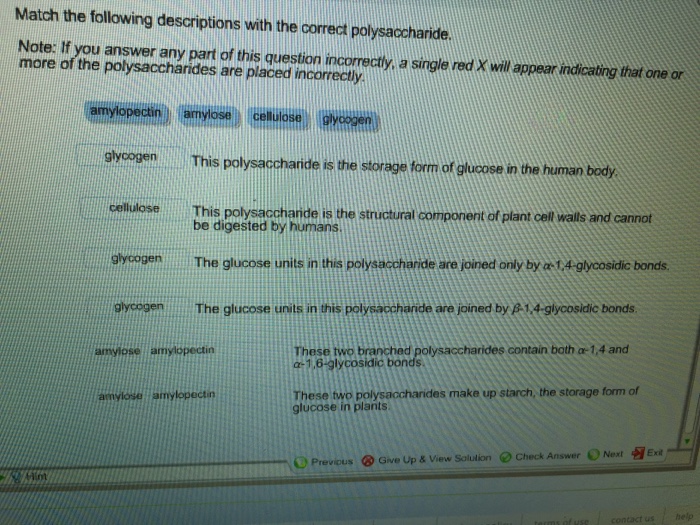 Match each description with the correct polysaccharide.