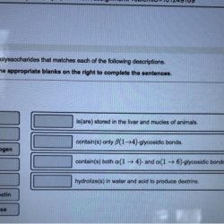 Match each description with the correct polysaccharide.