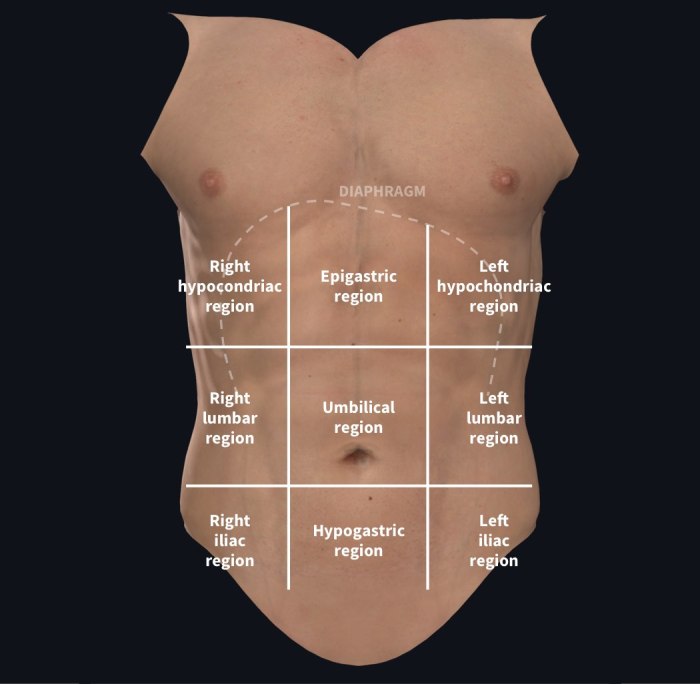 The idea that regions are fluid means that __________.