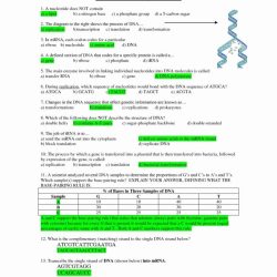 Dna structure and replication worksheet answers pdf